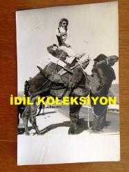NEJAT UYGUR'UN ORİJİNAL 3'LÜ FOTOĞRAF SETİ - 13,5 x 12 cm ve 14 x 9 cm EBADINDA 3 ADET FOTOĞRAF - SİYAH & BEYAZ - NEJAT UYGUR DEVEYE BİNERKEN ÇEKİLMİŞ 3 FARKLI KARE