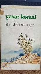 Hüyükteki Nar Ağacı