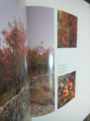 Iran, Manifestation of Four Seasons - According to A Group of Iranian Photographers In English & Persian