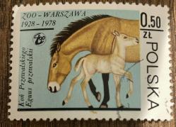 Polonya Pulu - Polska Stamp - Postadan Geçmiş Pul Filateli - Damgalı - VARŞOVA HAYVANAT BAHÇESİ 1928-1978 - AT VE YAVRUSU TEMALI PUL , 0.50 PARA - YABANCI PULLAR - NOSTALJİK DOĞUM GÜNÜ HEDİYESİ
