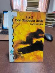2X2 DÖRT SİNCAPTIR BELKİ