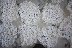 El Örgüsü Tığ Işi 1 Adet Fiskos Masa Örtüsü (85X93) El Işi Dantel   VE 12 ADETTE KÜCÜK BOY DANTEL ÖRTÜ 20X20 CM (ANTIK KOLİ 8