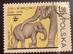 Polonya Pulu - Polska Stamp - Postadan Geçmiş Pul Filateli - Damgalı - VARŞOVA HAYVANAT BAHÇESİ 1928-1978 - FİL VE YAVRUSU TEMALI PUL , 1.50 PARA - YABANCI PULLAR - NOSTALJİK DOĞUM GÜNÜ HEDİYESİ