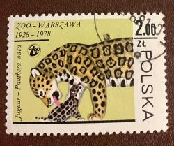Polonya Pulu - Polska Stamp -  Postadan Geçmiş Pul Filateli - DAMGALI - VARŞOVA HAYVANAT BAHÇESİ 1928 - 1978 - JAGUAR VE YAVRUSU TEMALI PUL , 2.00 PARA - YABANCI PULLAR - NOSTALJİK DOĞUM GÜNÜ HEDİYESİ