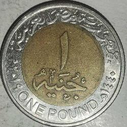 MISIR  2019   1  POUND