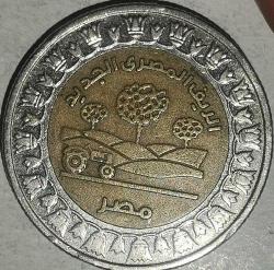 MISIR  2019   1  POUND