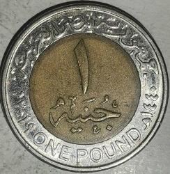 MISIR  2019   1  POUND