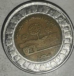 MISIR  2019   1  POUND