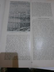 ESPERANTO Revuo Internacia 53 Sayı Birlikte [Esperanto Dilinde]