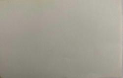 Ağaçların önünde poz veren anne-baba ve çocuklarının fotoğrafı.   ,ORİJİNAL SİYAH & BEYAZ, 14 x 9cm EBADINDA - 1940'LAR, 1950'LER, 1960'LAR ve 1970'LER