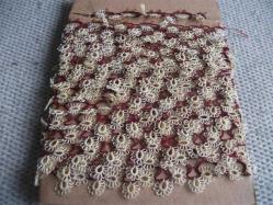 S2 - APLİKELİK - MEKİK OYASI