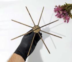 Antika Pervane - Kirman - Demir İp Sarma Aleti - Dönen Metal Alet