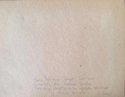 Berlin Türk Talebe Cemiyeti Tarafından Cumhuriyetin Onuncu Yıldönümü Şerefine ‘Land Wehr Kasino’ da Verilen Ziyafetten Bir İntibaa  Berlin 29-10-1933