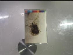 PETER GABRIEL PASSION İKİNCİ EL YABANCI KASET