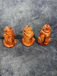 Üç Maymun Görmedim Duymadım Bilmiyorum