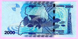 Uganda 2.000 Shillings, 2021 p50, UNC (TK 17 209) ÇİL