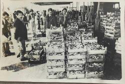 Balık pazarında balık satışı yapılırken çekilmiş bir fotoğraf. Hamsi ikiyüz lira oldu... 29.10.1985  .ORİJİNAL SİYAH & BEYAZ, 18x 12cm EBADINDA - 1940'LAR, 1950'LER, 1960'LAR ve 1970'LER