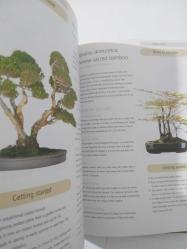 Successful Bonsai   ( Raising exotic miniature tree in your home ) - Hardcover