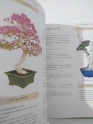 Successful Bonsai   ( Raising exotic miniature tree in your home ) - Hardcover