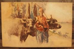 PC.1382 MANDA ARABASI BİRLİKTE BİR OSMANLI DÖNEM İNSANI ÇİZİM POSTA KARTI HENRY'S OPOST CARD NO.14