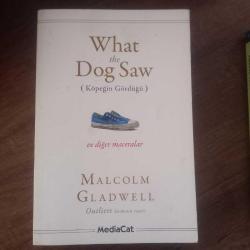 What the Dog Saw; (Köpeğin Gördüğü)