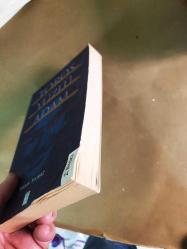 Toros Yüzlü Adam:  Osman Yüksel Serdengeçti