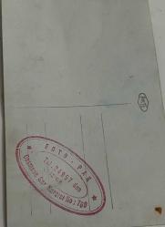 Düğün merasiminde elinde bir demet çicek ile poz veren gelin-damat ve yakınlarının fotoğrafı. FOTO PAK-İZMİR .ORİJİNAL SİYAH & BEYAZ 14x 9cm EBADINDA - 1940'LAR, 1950'LER, 1960'LAR ve 1970'LER