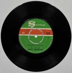 Vedat Çetinkaya - Nasıl Geçti Habersiz O Güzelim Yıllarım / Susadım Gülüşüne