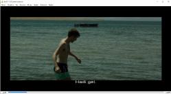 deniz seviyesi dvd (PC'de denenmiştir/izlenmiştir) damla sönmez ahmet rıfat şungar jacob fishel   (across the sea)