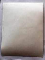LEYLA GENCER'İN ORİJİNAL BÜYÜK BOY FOTOĞRAFI - 24 x 18 cm EBADINDA - LEYLA GENCER İSTANBUL BOĞAZINDA DENİZ KENARINDA GÜLÜMSEYEREK MISIR YERKEN ÇEKİLMİŞ ÇOK ÖZEL BİR KARE,