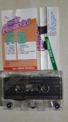 HALİT ARABOĞLU YOK ÇARESİ ERCAN ALMAN  BASKI