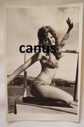 Sezer Güvenirgil - Yeşilçam Sinema Fotoğraf