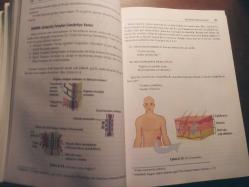 GİZLİ BEDEN ( Süzüg Yürek ) OP.DR. MEHMET KASIM, DR.ECZ. MÜGE KASIM