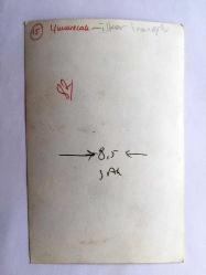 FİLİZ AKIN'IN OĞLU İLKER İNANOĞLU'NUN ORİJİNAL FOTOĞRAFI - 16 x 11 cm EBADINDA - İLKER İNANOĞLU (YUMURCAK) ÇİZGİLİ GÖMLEĞİYLE OKULDA SINIFINDA POZ VERİRKEN