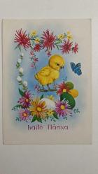 HEDİYE KARTPOSTALI - 15 x 10 cm EBADINDA - ARKASI YAZILI - ÇİÇEKLER ARASINDAKİ RENKLİ PASKALYA YUMURTALARIYLA TATLI CİVCİV