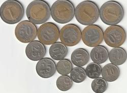 22 adet Madeni Yeni Türk Lirası Lotu