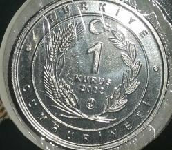 TÜRKİYE 2022  1 KURUŞ   HATIRA ANADOLU PARSI