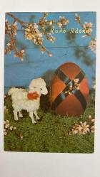 HEDİYE KARTPOSTALI - 15 x 10 cm EBADINDA - ARKASI YAZILI -YEŞİLLİKLER ARASINDA OYUNCAK KUZU VE RENKLİ PASKALYA YUMURTASI