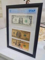 Amerika Dolar seti