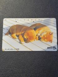 JAPONYA TELEFON KARTI