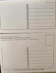 SURİYE BOSRA ANTİK ŞEHRİ AKORDİYON KARTPOSTAL (18 ADET)