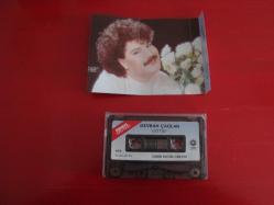 DEVRAN ÇAĞLAR GİTTİN KAGIT DÖNEM BASKI KASET