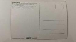 HEDİYE KARTPOSTALI - 15 x 10 cm EBADINDA - ARKASI YAZILI - ANNE VE YAVRU MAYMUN KARTPOSTALI