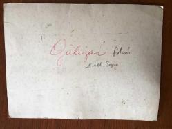 EMEL SAYIN'IN TIPKI BASIM FOTOĞRAFI - 20 x 15 cm EBADINDA - EMEL SAYIN PARKTA KIRMIZI ELBİSESİYLE KUĞU MAKETLERİNİN ÖNÜNDE POZ VERİRKEN (Gülizar FİLMİNDEN)