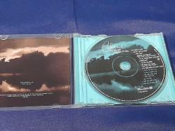 CELINE DION ALL THE WAY A DECADE OF SONG MÜZİK CD