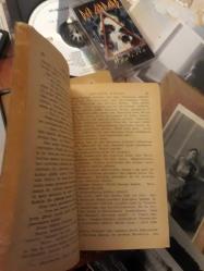 amcanın rüyası - dostoyevski