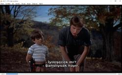 harry'nin derdi dvd  (pc'de denenmiştir)  edmund gwenn john forsythe shirley maclaine  (the trouble with harry dvd)  alfred hitchcock