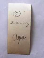 ERKİN KORAY'IN ORİJİNAL FOTOĞRAFI - 10 x 4,5 cm EBADINDA - ERKİN KORAY YAKINDAN ÇEKİM BİR FOTOĞRAFI (YÜZ BÖLGESİ KESİLMİŞ ŞEKİLDE UFALTILMIŞTIR)