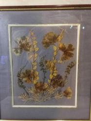 7403-MUHTEŞEM GÜZELLİKDE CAMLI ÇERÇEVE İÇERSİNDE KURUTULMUŞ ÇİÇEKLER TABLO