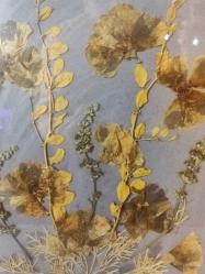 7403-MUHTEŞEM GÜZELLİKDE CAMLI ÇERÇEVE İÇERSİNDE KURUTULMUŞ ÇİÇEKLER TABLO